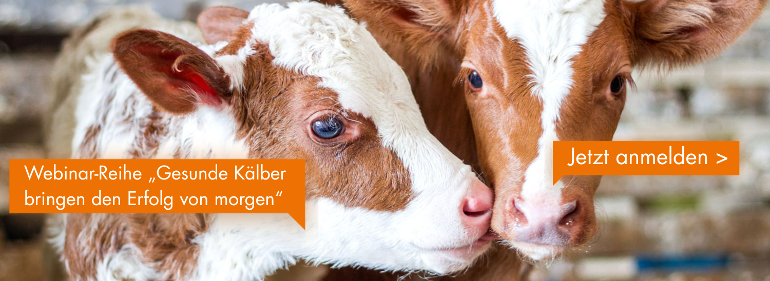 Startseite-Header-eingesetzt-1500x548-mit Stoerer